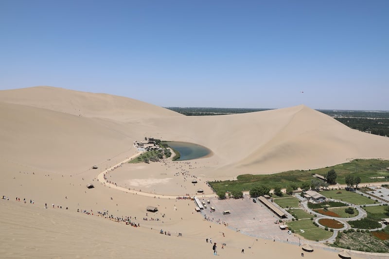 Whispering Oasis